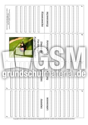 Faltbuch-vierfleckiger-Kugelmarienkäfer.pdf